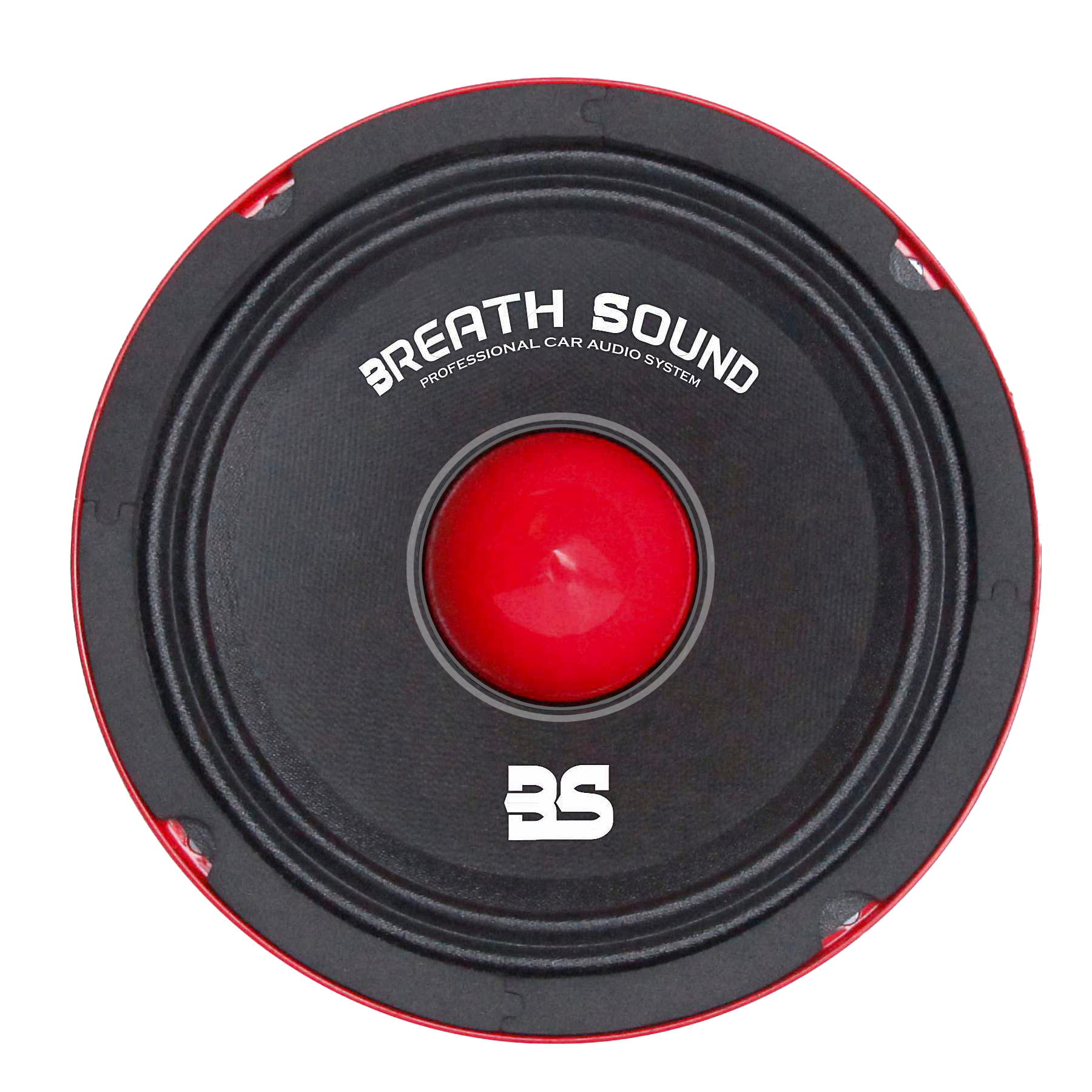 BS 65N PRO